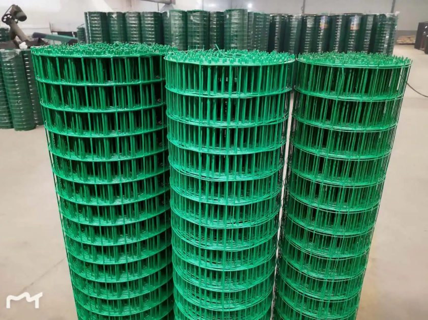 鲤城荷兰网
